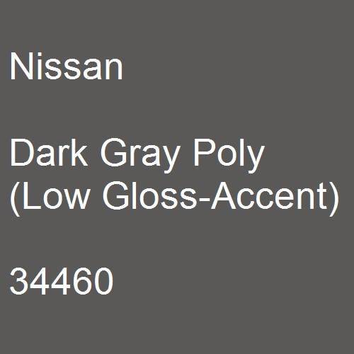 Nissan, Dark Gray Poly (Low Gloss-Accent), 34460.